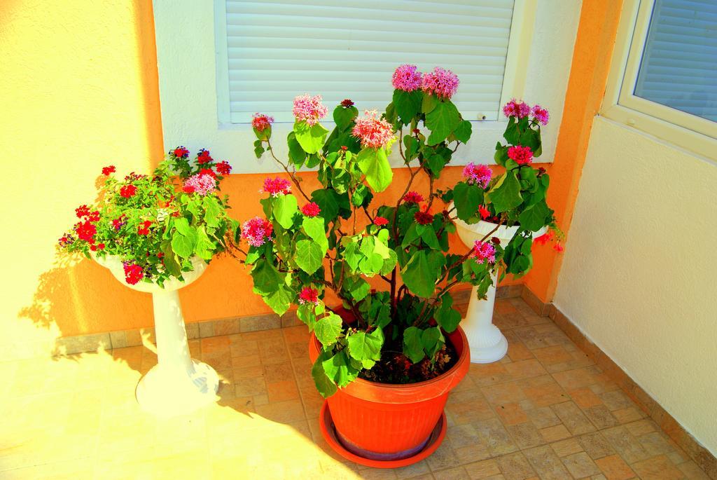 Guesthouse Vila Smilja Podgorica Zewnętrze zdjęcie